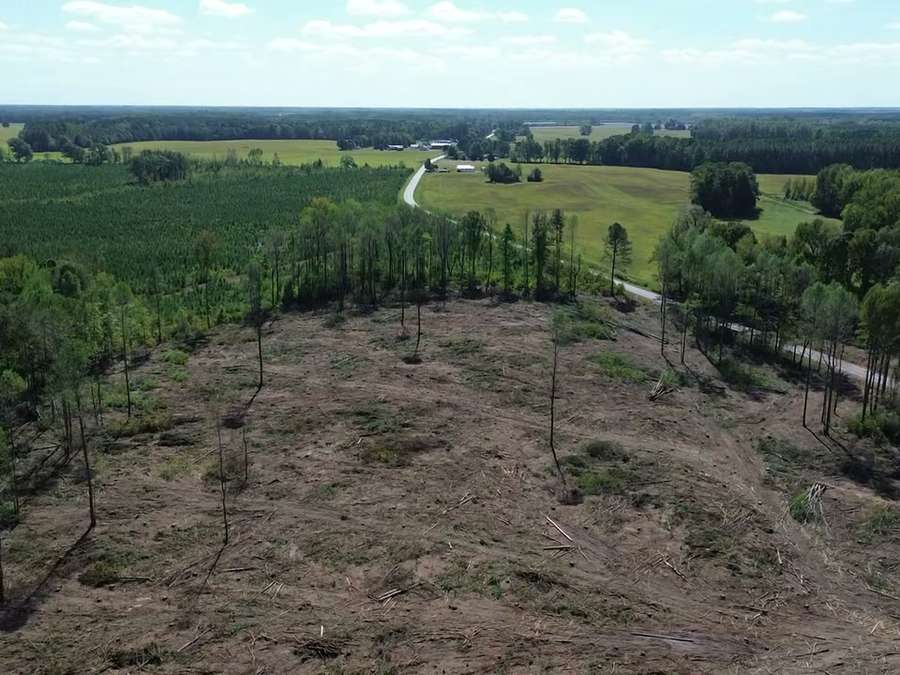 Clear Cutting