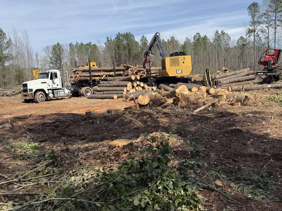 Loader and log truck at the landing